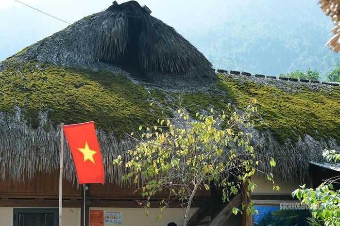 Mái nhà sàn phủ rêu xanh nổi bật bên lá cờ đỏ sao vàng. Ảnh: Tuấn Anh