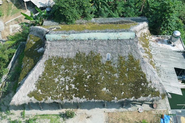 Nhìn từ trên cao, lớp rêu xanh phủ gần kín mái lá cọ của ngôi nhà sàn. Ảnh: Tuấn Anh