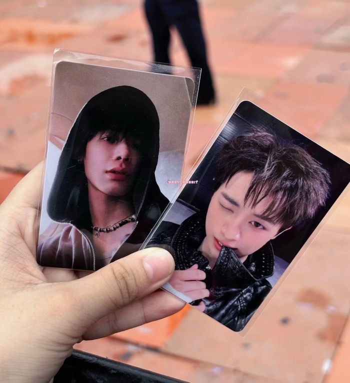Nguồn: @baby_rabbit0801