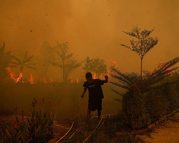  Indonesia đang trải qua mùa cháy rừng nghiêm trọng nhất trong hơn một thập kỷ. Ảnh: Reuters. 