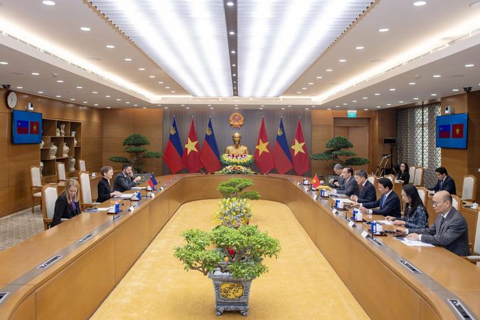 Điều đáng chú ý của Liechtenstein không nằm ở quy mô của thị trường trong nước, mà ở khả năng một nền kinh tế rất nhỏ có thể phát triển những doanh nghiệp có năng lực công nghệ cao, chuyên môn hóa sâu và vươn ra thị trường toàn cầu.