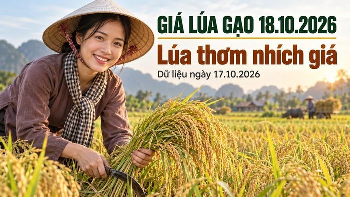 Hình minh họa