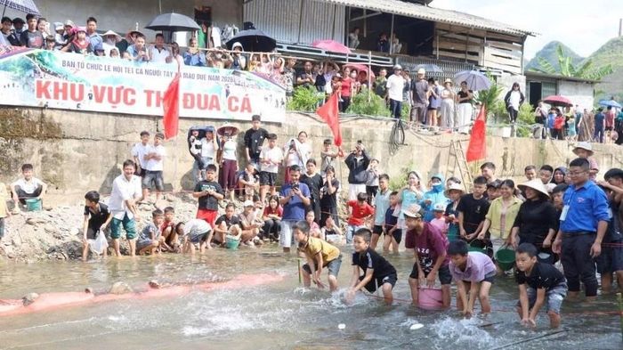 Hoạt động đua cá thu hút đông đảo người dân và du khách