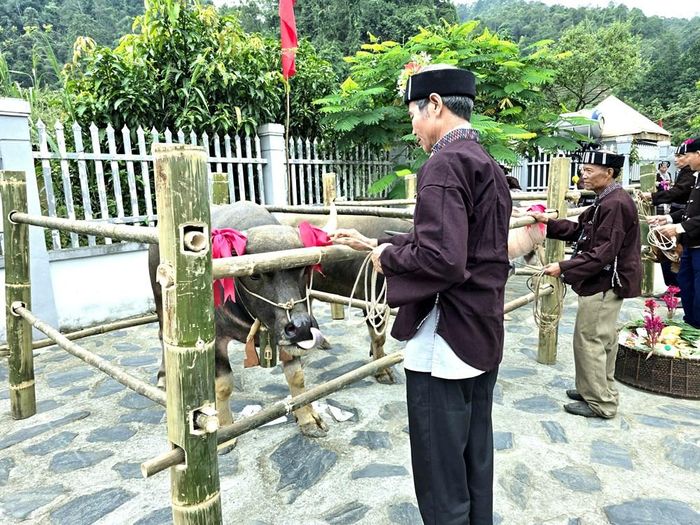 Khu vực chuồng làm lễ