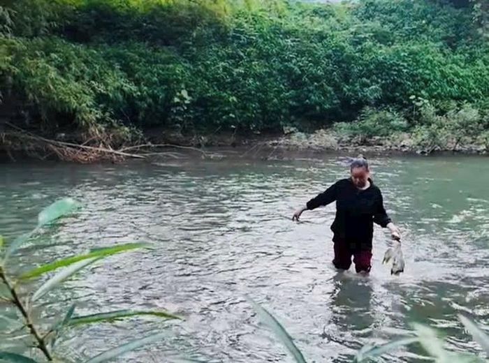 Người dân vớt những con vịt chết bất thường dưới suối