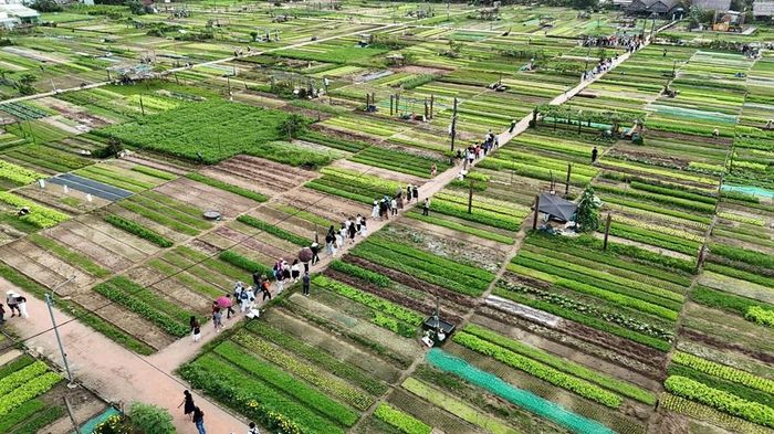 Theo tiêu chí, mỗi thôn có ít nhất một mô hình kinh tế xanh, sản phẩm làng nghề đặc trưng hiệu quả,...