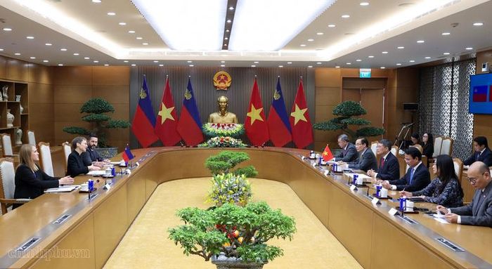 Thủ tướng Chính phủ Lê Minh Hưng hội đàm với Thủ tướng Công quốc Liechtenstein Brigitte Haas. Ảnh: chinhphu.vn