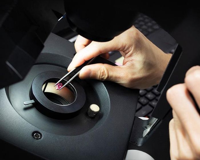 Các chuyên gia quan sát viên kim cương hồng Grand Condé dưới kính hiển vi trong dự án nghiên cứu liên ngành phục vụ triển lãm. Ảnh: L’ÉCOLE