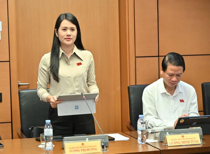 Đại biểu Quốc hội Vương Thị Hương.