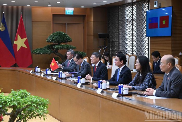 Thủ tướng Lê Minh Hưng và các thành viên Chính phủ Việt Nam hội đàm với Thủ tướng Công quốc Liechtenstein Brigitte Haas.