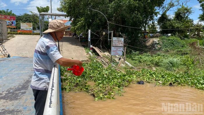Ông Nguyễn Văn Phùng cho cá ăn. ( Ảnh: Thanh Dũng)