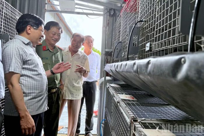 Phó Bí thư Thường trực Tỉnh ủy Cà Mau Đặng Văn Dũng (bìa trái) khảo sát mô hình nuôi chồn của hộ ông Trương Văn Thiên (ấp Khai Long, xã Đất Mũi, tỉnh Cà Mau).(Ảnh HỮU TÙNG)