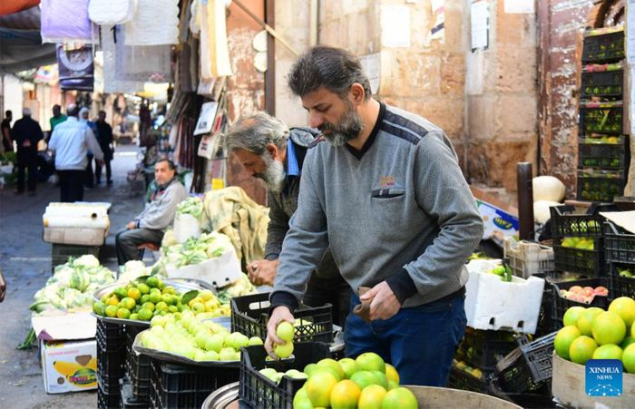 Một khu chợ thực phẩm tại Damascus, Syria. Ảnh: XINHUA