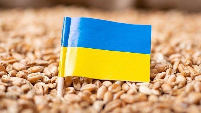 Hungary sẵn sàng cho ngũ cốc của Ukraine quá cảnh sang Tây Âu. (Nguồn: Tastingtable)