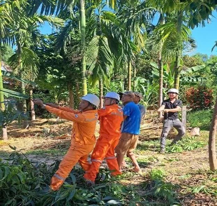 Hỗ trợ người dân thu hoạch cây ngoài hành lang tuyến để bảo đảm an toàn, ngăn ngừa sự cố trên lưới điện trung thế. (Nguồn: Điện lực Huế)