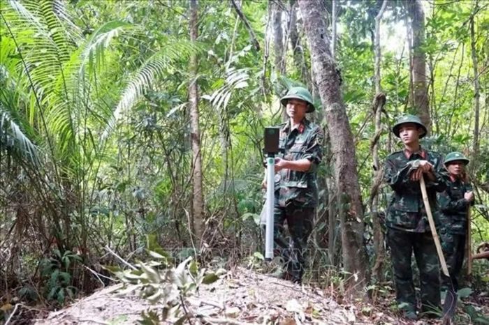 Bộ đội Công binh rà bom mìn, đảm bảo an toàn trước khi tìm kiếm, cất bốc hài cốt liệt sĩ. (Nguồn: TTXVN)