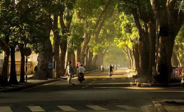 Đầu tuần, thời tiết Hà Nội sáng sớm có sương mù nhẹ, ngày nắng. Ảnh: ST