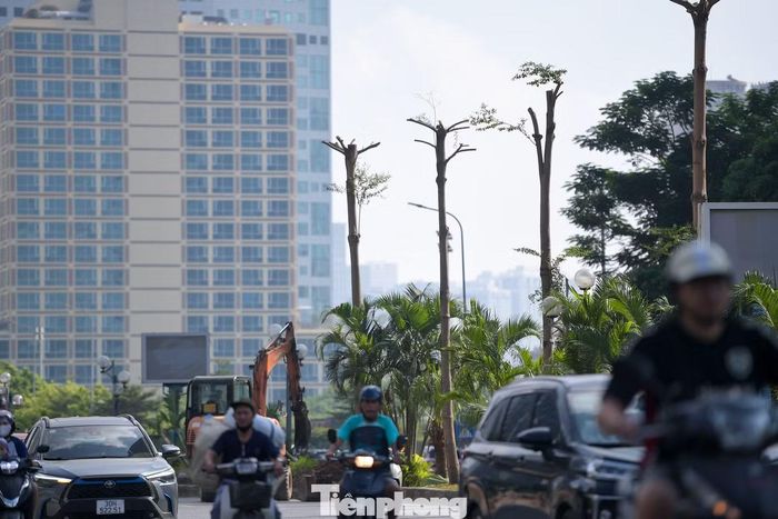 Dự án hầm chui Mễ Trì – Dương Đình Nghệ – Vành đai 3 được phê duyệt ngày 7/1/2026, với tổng mức đầu tư hơn 960 tỷ đồng. Công trình có quy mô 6 làn xe, tổng chiều dài 655 m, được thiết kế theo hướng Mễ Trì – Dương Đình Nghệ.