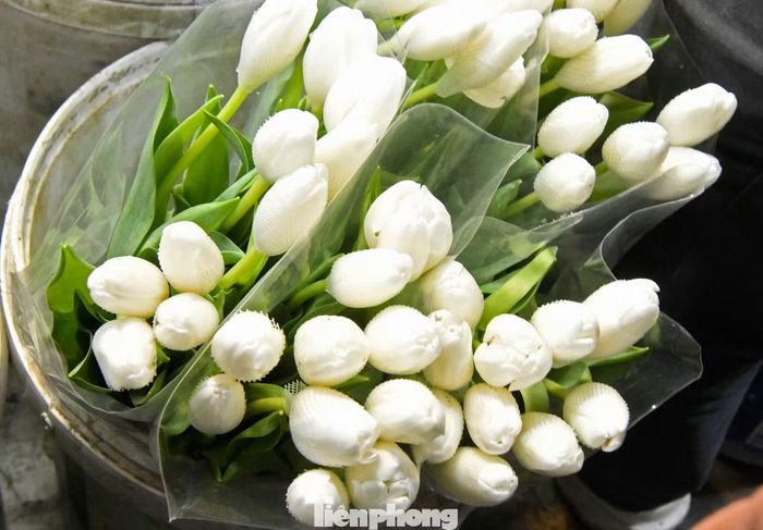 Giá tulip dao động ở mức khoảng 300.000 đồng mỗi bó 10 bông. Hiện phần lớn hoa tulip cao cấp tại Việt Nam là hàng nhập khẩu từ Hà Lan hoặc Ecuador, đòi hỏi quy trình vận chuyển đường hàng không và bảo quản lạnh nghiêm ngặt để giữ hoa không nở sớm, vì thế chi phí hoa này luôn cao hơn mặt bằng chung.