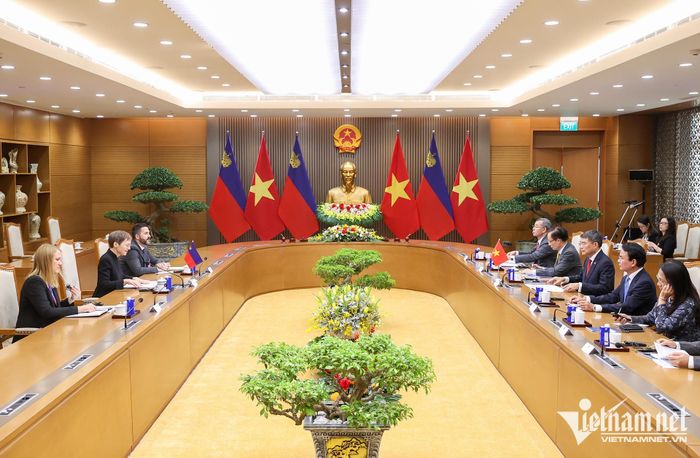 Hai Thủ tướng dẫn đầu đoàn đại biểu cấp cao hai nước tiến hành hội đàm 