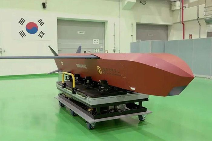 KALCM Cheonryong là tên lửa hành trình phóng từ trên không của Hàn Quốc được phát triển từ năm 2018. Ảnh: NamuWiki