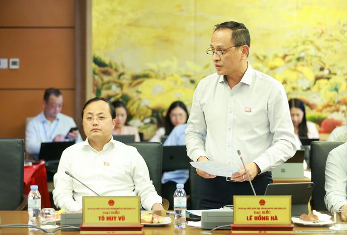 Đại biểu Lê Hồng Hà phát biểu chiều nay. Ảnh: Văn Tuyến