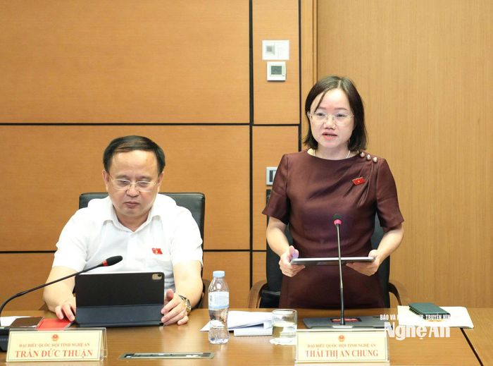 Đại biểu Thái Thị An Chung - Phó trưởng Đoàn chuyên trách Đoàn ĐBQH tỉnh phát biểu thảo luận tổ. Ảnh: Khánh Duy