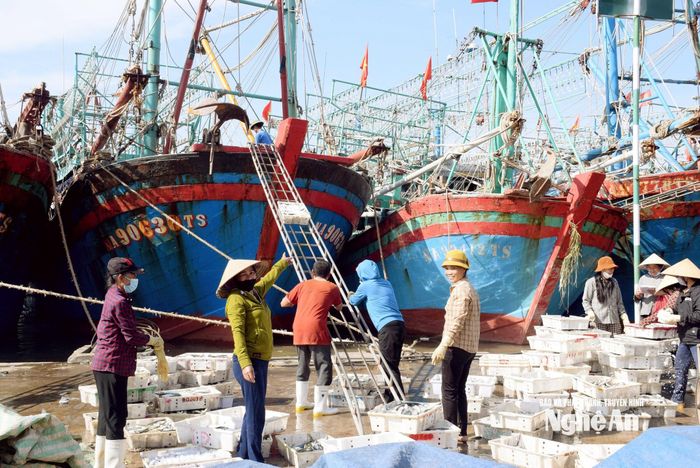 Tàu cá công suất lớn của ngư dân xã Quỳnh Phú trở về sau chuyến biển dài ngày: Ảnh tư liệu: Xuân Hoàng