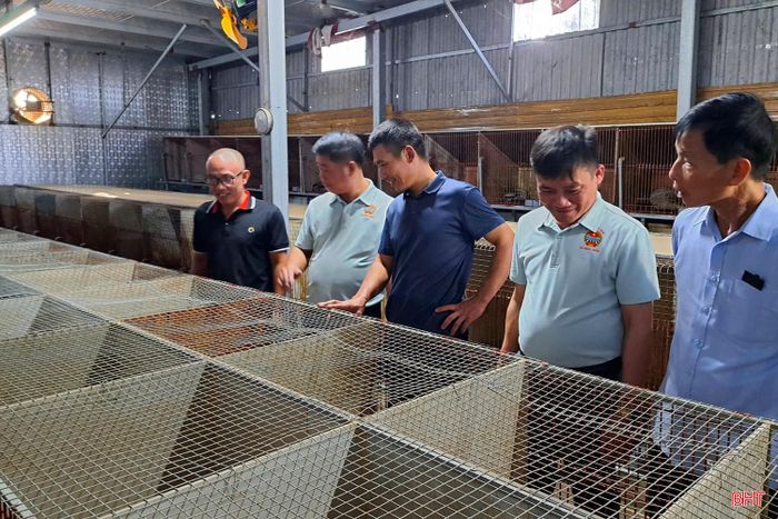 Hội Nông dân xã Nghi Xuân tham quan mô hình nuôi chồn hương trên địa bàn.