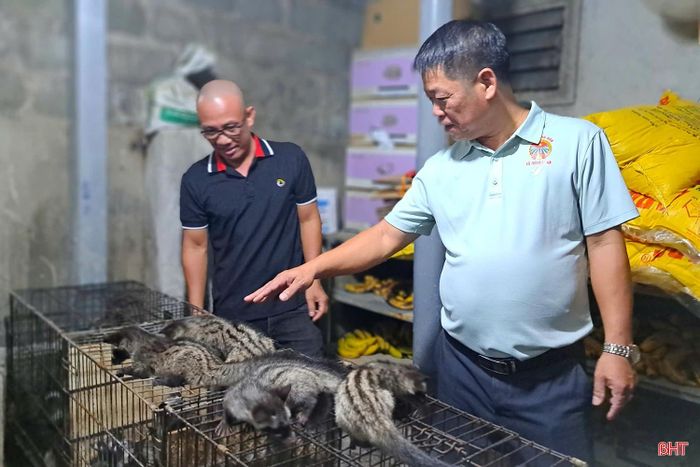 Xã Nghi Xuân đang khuyến khích các hộ nông dân tham gia xây dựng mô hình.