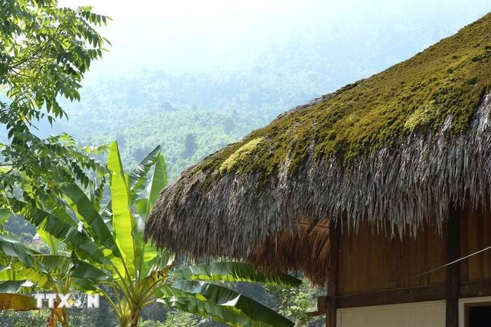 Qua năm tháng, rêu xanh phủ lên mái lá, tạo nên vẻ đẹp trầm mặc, hòa cùng màu xanh núi rừng. (Ảnh: Minh Tâm/TTXVN)