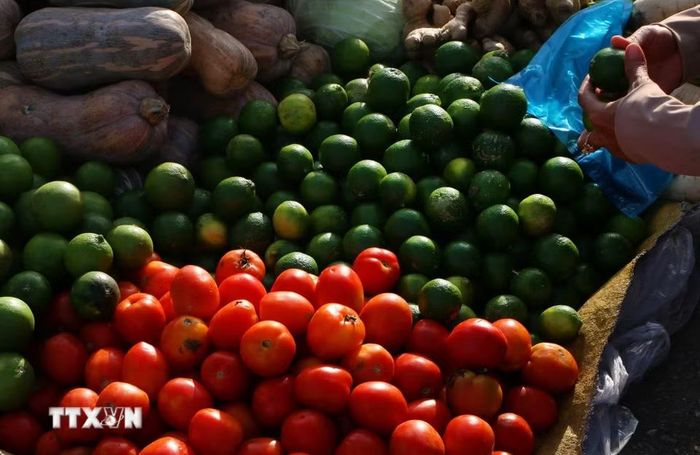 Những rổ trái cây ở chợ “chồm hổm” Vị Thanh như tô điểm thêm sắc màu tươi tắn cho bức tranh chợ quê miền Tây. (Ảnh: Duy Khương/TTXVN)