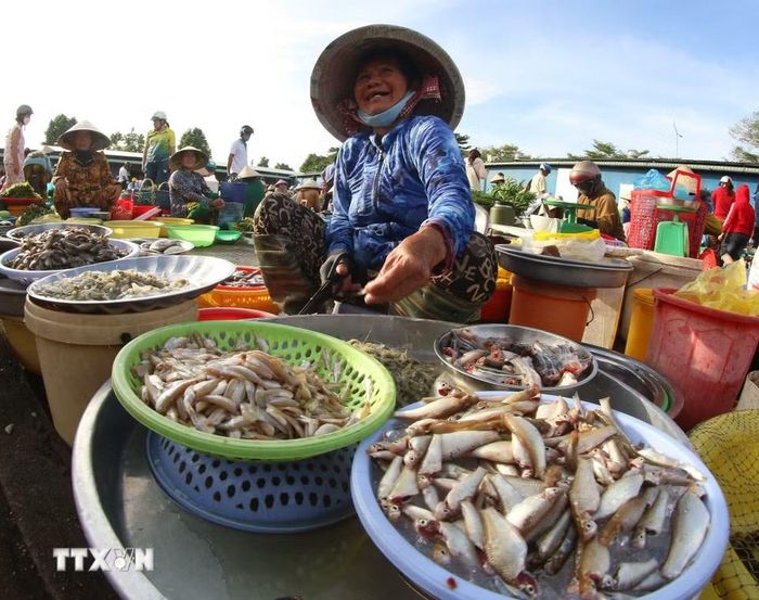 Chợ “chồm hổm” Vị Thanh gần gũi như chính cuộc sống của người dân, lưu giữ một phần hồn quê giữa lòng thành phố đang từng ngày đổi mới. (Ảnh: Duy Khương/TTXVN)