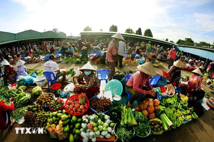 Cái tên “chợ chồm hổm” được gọi theo cách người bán thường ngồi thấp, hàng hóa bày trên những chiếc rổ, tấm bạt hoặc chiếc ghế nhỏ. (Ảnh: Duy Khương/TTXVN)