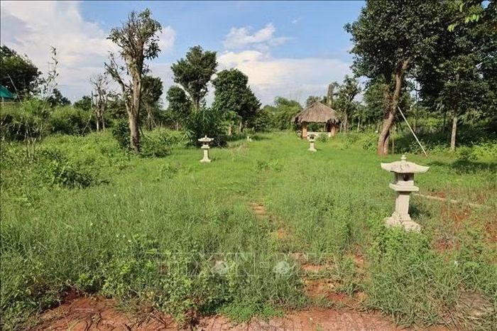 Lối đi trong khu địa đạo để cỏ mọc kín (sau thời gian điều chỉnh địa giới hành chính, chưa có đơn vị quản lý cụ thể).