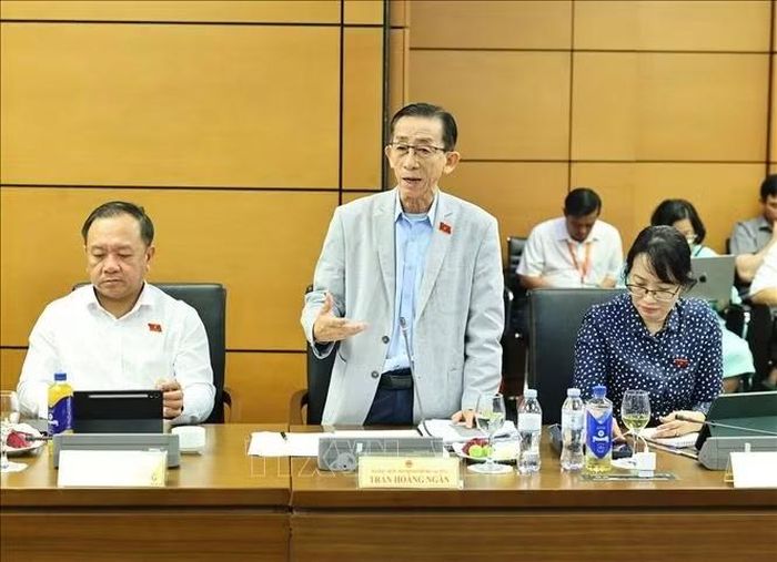 Đại biểu Quốc hội Thành phố Hồ Chí Minh Trần Hoàng Ngân phát biểu. Ảnh: Minh Đức/TTXVN