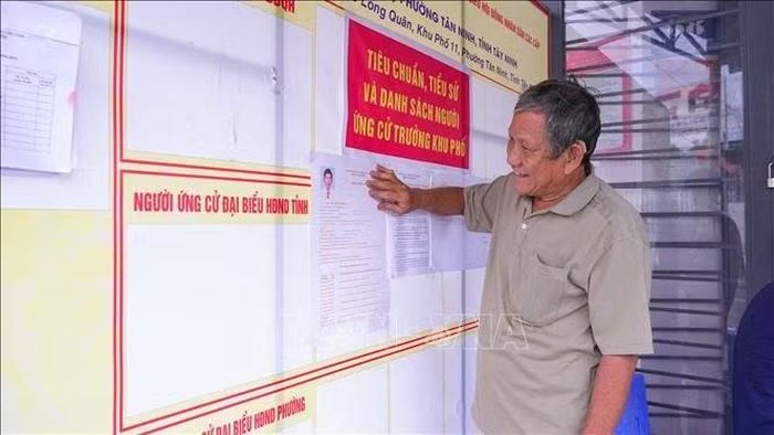 Cử tri tìm hiểu thông tin về người ứng cử Trưởng ấp, khu phố nhiệm kỳ 2026-2031 được niêm yết tại điểm bầu cử khu phố 11, phường Tân Ninh, tỉnh Tây Ninh. Ảnh: Minh Phú/TTXVN