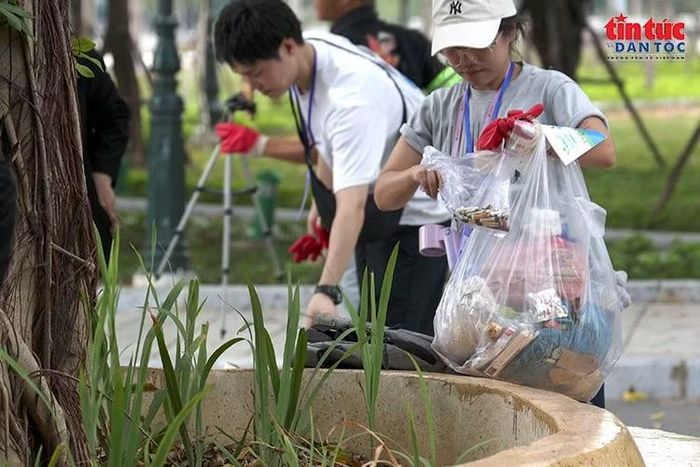 Từng mẩu rác được nhặt khỏi khu vực gốc cây, góp phần làm sạch cảnh quan công cộng.