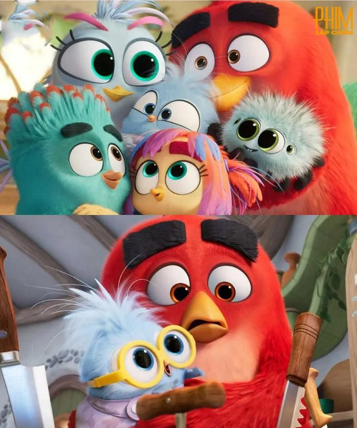 The Angry Birds Movie 3.