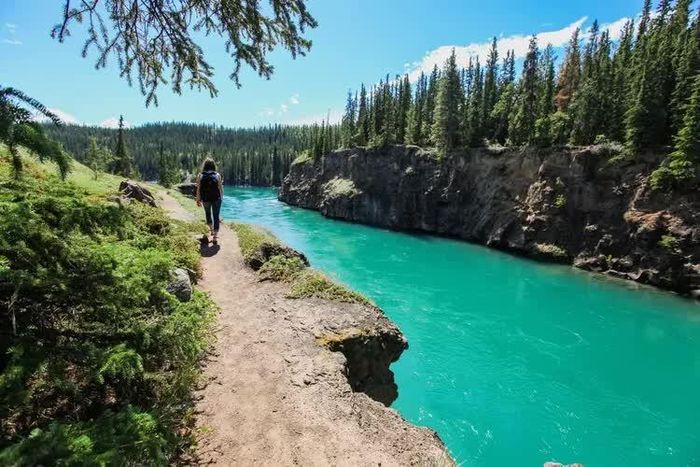 Một người đi bộ đường dài ở Miles Canyon thuộc Whitehorse, Yukon. Ảnh: Christa Boaz/Getty Images