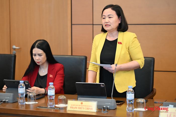Đại biểu Phạm Thúy Chinh, Phó Chủ nhiệm Ủy ban Kinh tế và Tài chính của Quốc hội (Đoàn đại biểu Quốc hội TP. Hải Phòng).