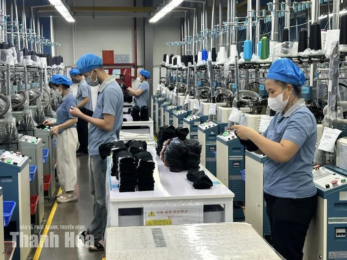 Các doanh nghiệp hoạt động trong lĩnh vực xuất nhập khẩu nộp ngân sách vượt 11,3% dự toán.