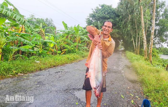 Ông Lê Văn Thùy và "chiến lợi phẩm" là con cá tra gần 10kg.