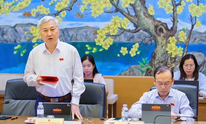  Đại biểu Trần Văn Lâm nêu ý kiến. 