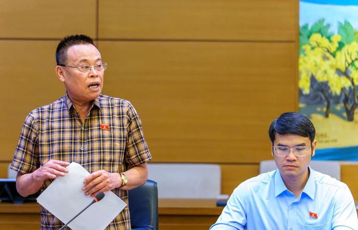  Đại biểu Nguyễn Như So nêu ý kiến. 