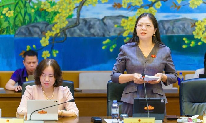  Đại biểu Leo Thị Lịch nêu ý kiến. 