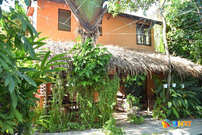 Không gian lưu trú theo hướng xanh hóa. Ảnh: XUÂN DŨNG