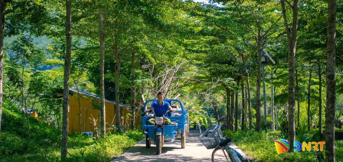 Các điểm du lịch nỗ lực xanh hóa không gian, triển khai các tiêu chí lưu trú du lịch xanh tại Đà Nẵng. Ảnh: Khu du lịch cung cấp