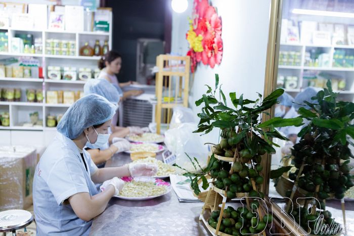 Cơ sở chế biến mắc ca Việt Hà, xã Tuần Giáo chế biến nhân hạt mắc ca.