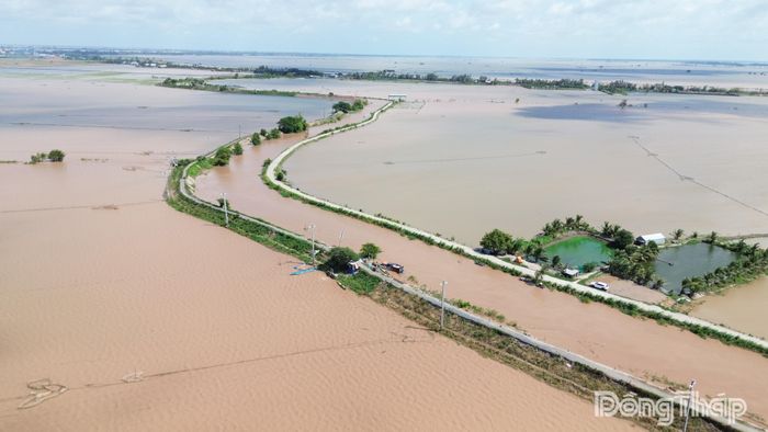 Nước lũ tại khu vực đầu nguồn tỉnh Đồng Tháp đang rút mạnh.